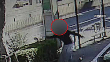 11人死傷ひき逃げで車盗んだ37歳男が逃走中に“鍵”投げ捨てる姿…巻き込まれた男性「免許を取るのやめた、怖い」　東京・足立区