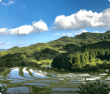 都心から約90分の“日本の原風景”千葉・鴨川の里山エリアで楽しむ　古民家宿＆カフェ5選