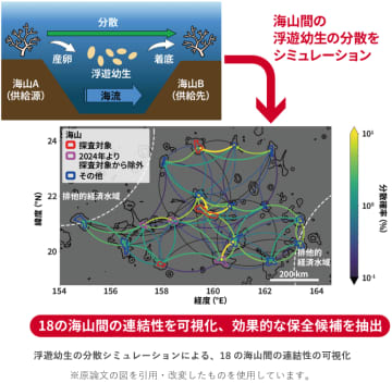 深海における海山間の生態系のつながりを明らかに