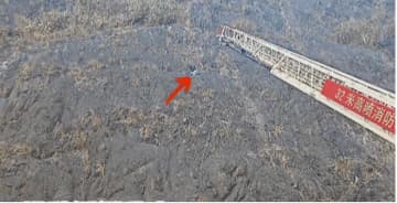 中国浙江省で男性が断崖で孤立、消防がはしご車で「空中救助」