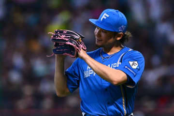 話題の“限定ユニ”「凄く気に入ってます」　伊藤は袖のデザインに注目「評判がいい」