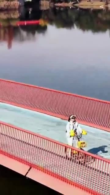 成都高新区でメタセコイアが見頃　中国四川省