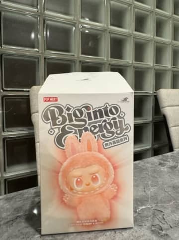 堀ちえみ、娘が入手困難な品をゲットし感激「めちゃくちゃ嬉しい」