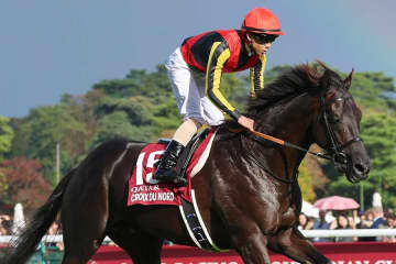 「ええとこ入りよった」「消せない」　ジャパンC枠順確定、悩む競馬ファン「有力馬たちが…」