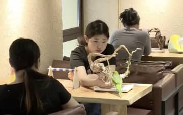 中国黒竜江省で「愛鳥ブーム」インコカフェ人気、飼育産業も活況