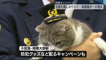 「交番の日」保護猫が一日署長　神奈川県警が防犯キャンペーン