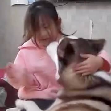 パート中、ふと見守りカメラを確認した結果→小学校から帰宅した娘とシベリアンハスキーが…尊すぎる光景に反響「こんなの見たら泣いちゃう…」