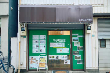 東長崎『やもり昆虫館』潜入記。扉の向こうに広がる世界とは？