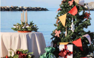 ハワイのクリスマス過ごし方完全ガイド｜南国で叶える特別な冬の体験