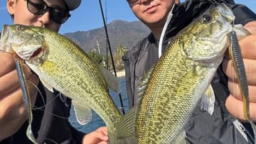 「このルアー、まじで神です（笑）」敏腕ガイドも唸らす激釣れワーム。季節感が早いこの秋も安定感最強！