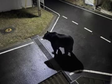 Xの画像、もう信用できない？ 「生成AIフェイクと疑ってしまう」の声　揺らぐ真実