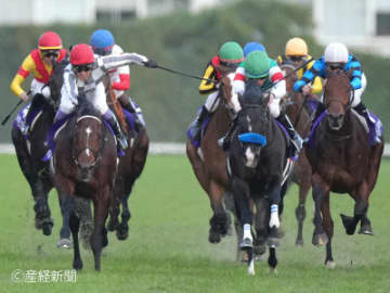 【ジャパンカップ】前走の人気は重要！狙えるゾーンの線引きはどこまで！？天皇賞・秋組で見る攻略POINT