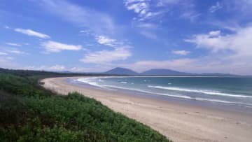 観光客の男女、サメに襲われ死傷　オーストラリア