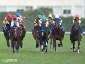 【ジャパンカップ】無条件で買うべき単勝オッズの線引きとは！？人気で見る攻略POINT