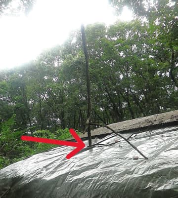 シート張替え翌日に枝貫通！林の中は危険と隣り合わせ