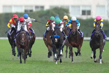 ジャパンC枠順確定で「今気づいたけど…」　出馬表にない2文字に競馬ファン「寂しいよぉぉぉ…」