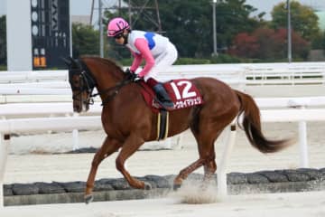 【兵庫ジュニアグランプリ】トウカイマシェリが鮮やか差し切り…鮫島駿「1400mでも大丈夫でした」