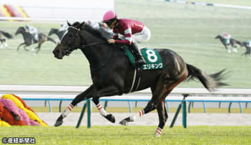 【京都２歳Ｓ】上位人気が堅調か 過去10年の傾向から見える人気と配当