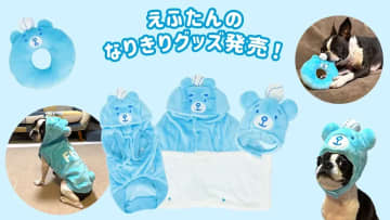 えふたんのなりきりグッズ発売！