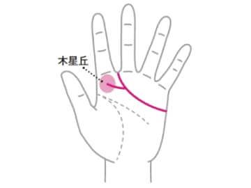 パートナーや周りの人を幸せに導く能力がある人の感情線とは！？【手相の教科書】