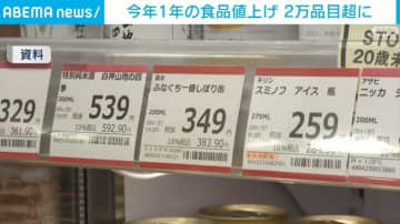 今年の食品値上げ 2年ぶりに2万品目超え