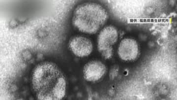 インフルエンザ変異株【サブクレードK】　なぜ急拡大？症状に違いは？今後の懸念など感染症の専門家に聞いた