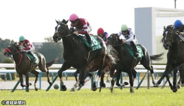 【京都２歳Ｓ】少頭数の新馬を勝った馬は危険信号!? 過去10年の傾向から考える攻略ポイント