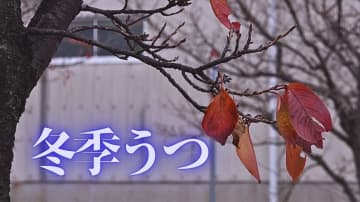 その過眠や過食…実は「冬季うつ」かも　日照時間が短くなりセロトニン分泌が減少