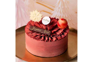 【ルノートル】25年のクリスマスケーキが登場！全7層のブッシュ・ドゥ・ノエルなど