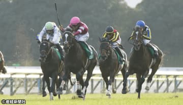 【京都２歳Ｓ】条件合えば軸馬確定？ 過去10年の傾向から見えてくる3連単を的中させる軸馬・相手馬の狙い方とは