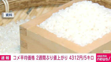 コメ平均価格が2週間ぶり値上がり 5kg4312円 最高値に迫る