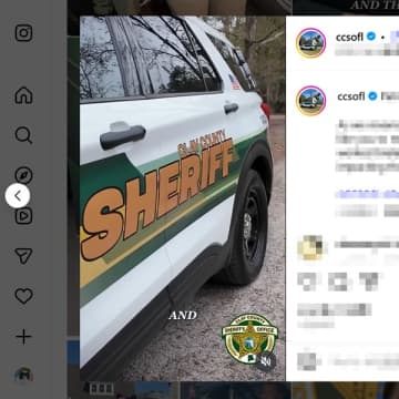 8歳少女が、母を刺殺しようとした祖母を刺す！ 米フロリダ州で起きた衝撃的事件の全容