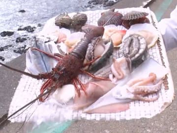 この秋冬に旅行するならここ！グルメ旅YouTuber激推し「海女小屋」身が“ぶりんぶりん”捕れたて海鮮を豪快に『ウラマヨ！』