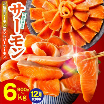 【ふるさと納税おすすめ】250gの小分けが使いやすい！大阪府泉佐野市の「サーモン ポーション1kg」（20代・女性）