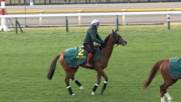 【ジャパンカップ・GⅠ】世界ランキング1位のヨーロッパ王者カランダガンが堂々参戦！　今年の天皇賞馬マスカレードボール＆ダービー馬3頭など超強力日本勢と東京で激突！