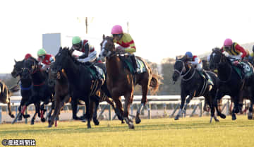 【京阪杯】３・４歳馬は上位人気なら信頼できる？ 過去10年の傾向から考える攻略ポイント！