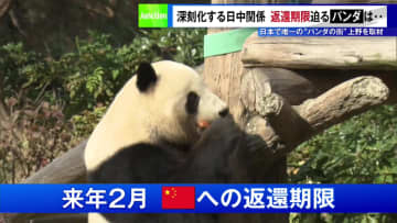 深刻化する日中関係　返還期限迫るパンダは…　日本で唯一の“パンダの街”上野を取材