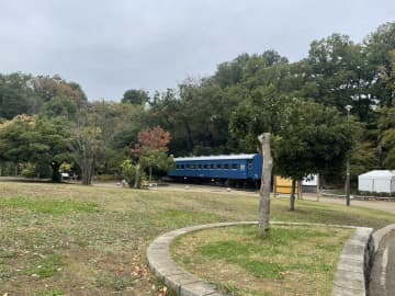 【紅葉】生田緑地って知ってる？穴場の広大な自然環境でお手軽ハイキング☆