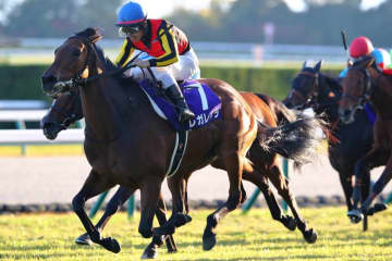 【有馬記念】連覇狙うレガレイラが1位…ファン投票第1回中間発表