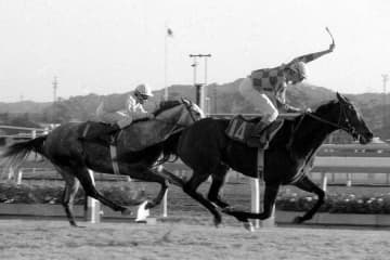 【思い出に残るジャパンC】メアジードーツ 外国馬が4着まで独占 完膚なきまでに叩きのめされた日本馬たち