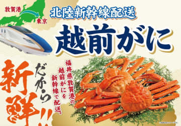 【11/29限定】イオンのブラックセールで"水揚げ当日"の「越前がに」登場！関東で買えるのは今日だけ。