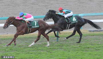 【京都２歳Ｓ】前走から短期免許騎手以外への乗り替わりは渋いか？ 過去10年の傾向から見える”買えない馬”とは！？