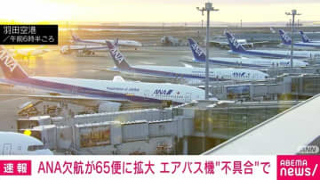 ANA欠航が65便に拡大 エアバス機“不具合”で