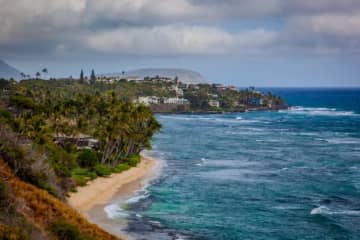 「かわいそう」ウミガメを持ち上げ記念撮影…カップルに批判「ハワイに来て気が緩んでいる」