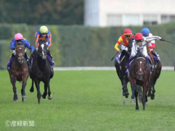 【ジャパンカップ】馬は苦戦続きでも騎手は買える！人気薄でも積極的に狙ってみたい波乱の主役とは！？