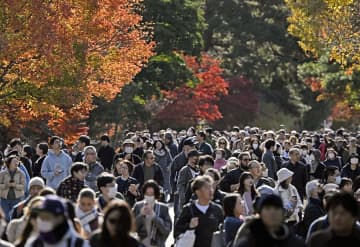 紅葉色づく皇居・乾通り一般公開　12月7日まで