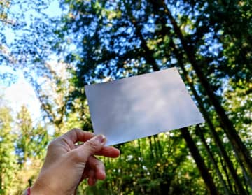 【日本ならではの遊び「木漏れ日キャッチ」とは？】森林浴の方法やモミの木豆知識も｜神奈川・相模原市「つちざわの森」