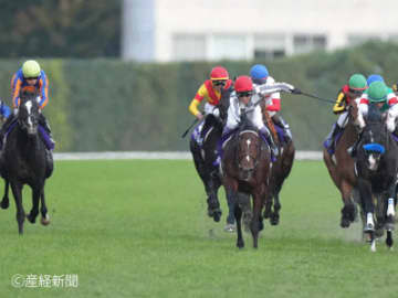 【ジャパンカップ】単勝オッズ3倍台以下の①人気は軸として確実！その他のアプローチは？3連単的中させる軸馬の狙い方