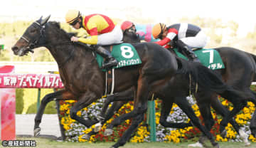 【京都２歳Ｓ】翌年のクラシックへの意識が波乱を呼ぶ？ 過去10年の傾向から考える波乱の主役となり得る馬とは