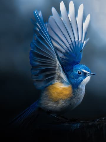 1万点以上の応募から選ばれた優秀作品が一堂に「第73回ニッコールフォトコンテスト入賞作品展」